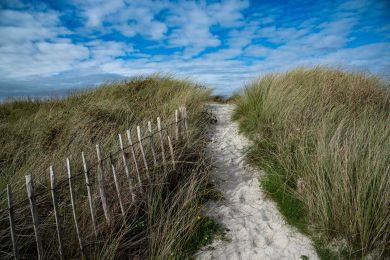 Michael Kunze: Zum Meer